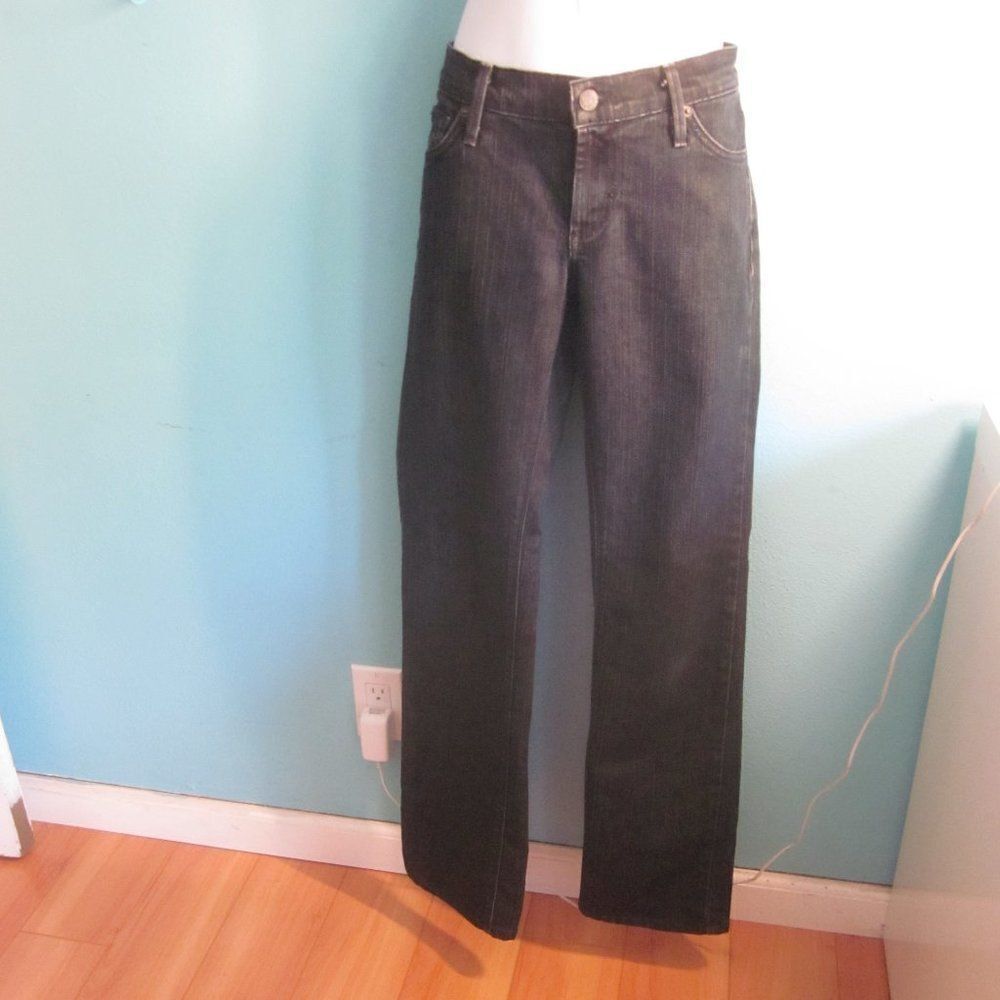 James Jeans Dry Aged Denim “Tom” Size 28 Straight Leg Mens Raw Blue Made in USA
